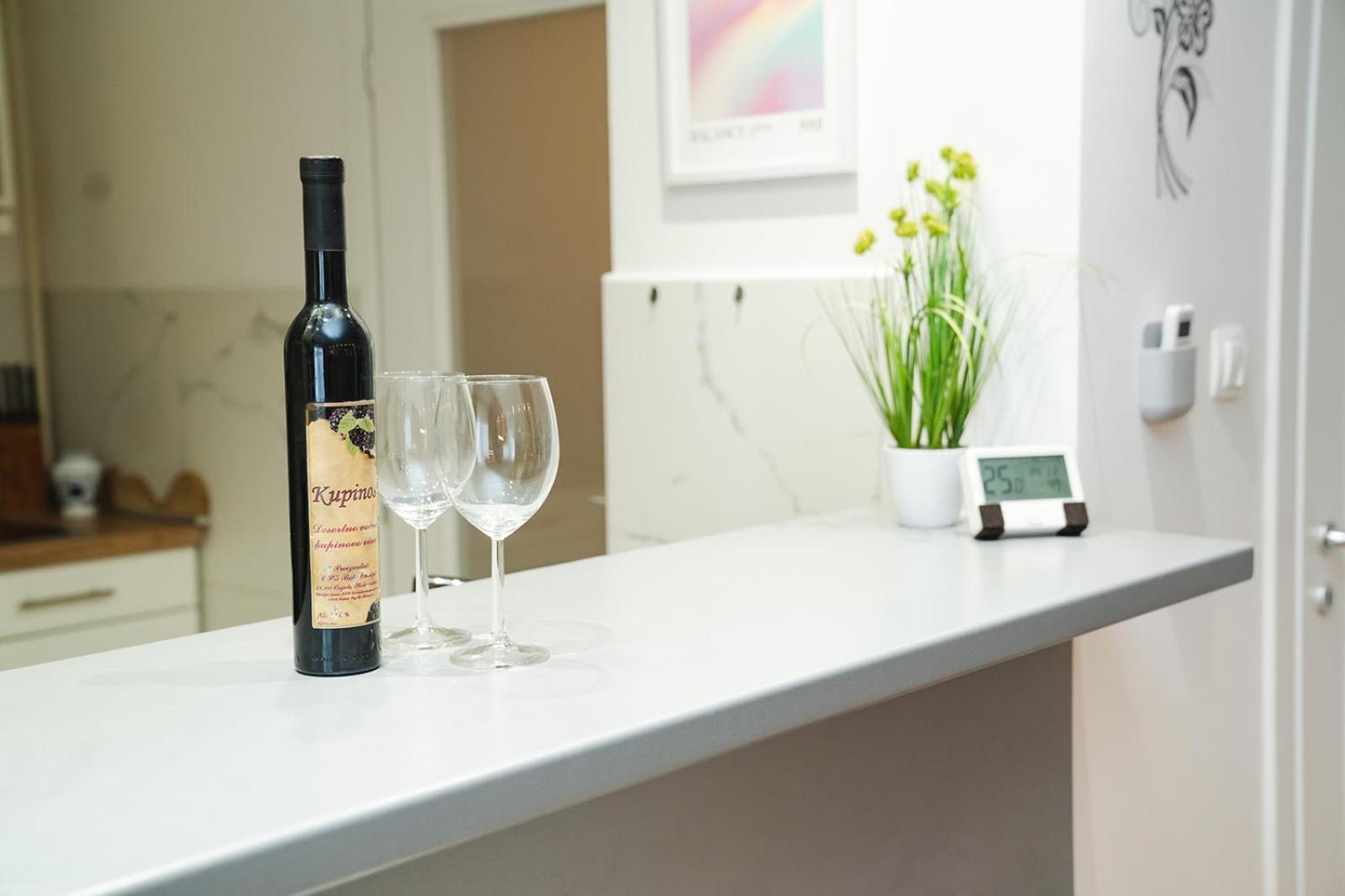 Casa De Dinca, 2 Bedroom, 6 Person, Free Parking Zone Apartment Zagreb